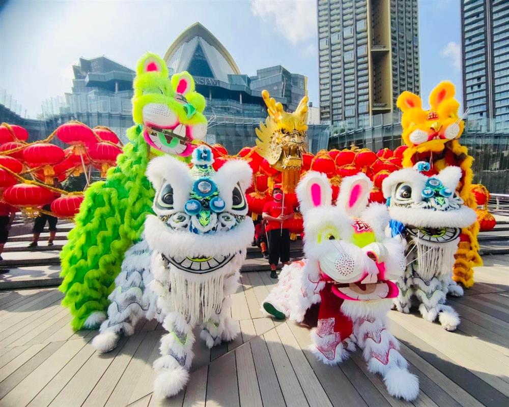 สิงโตหลายสี