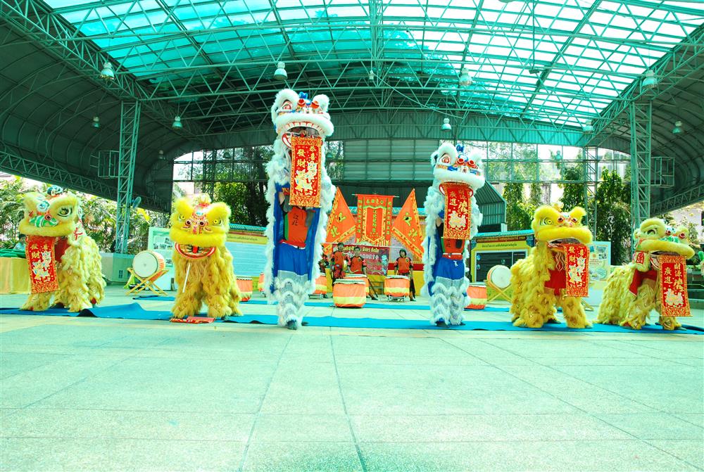 ภาพการแสดงสิงโต 13